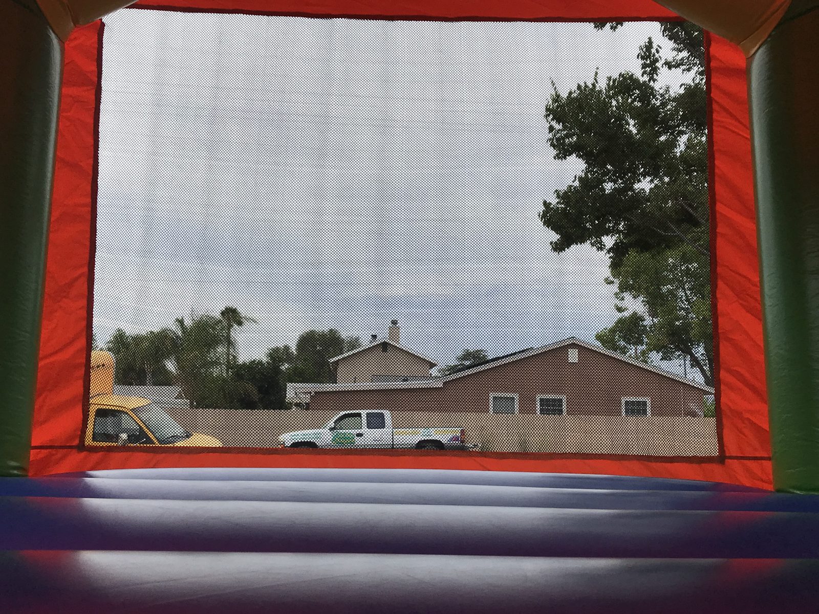 13×13 Madagascar Theme bounce house rental in San Diego, photo 5