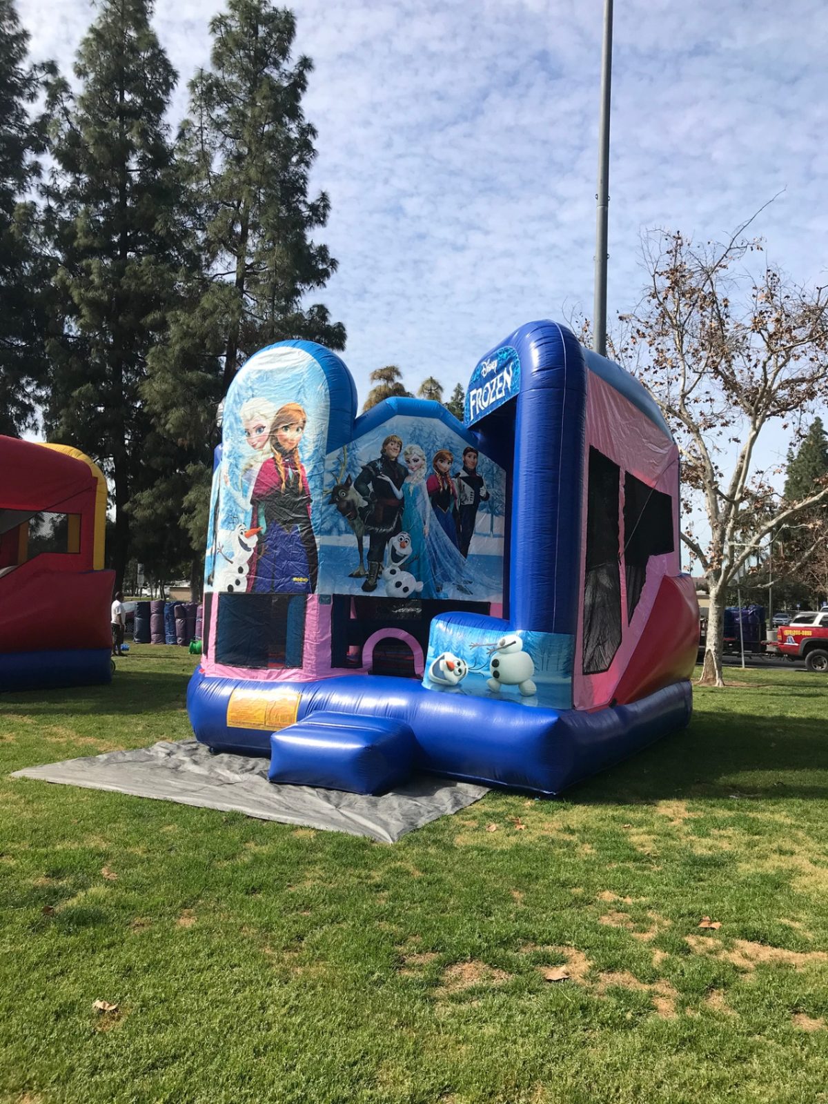5n1 frozen combo bounce house rental in San Diego, corner view of the character panel and pink slide side wall
