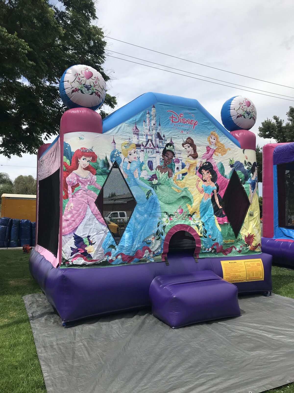 13x13 Disney Princess bounce house rental in San Diego — side-angled view showing the mesh safety windows and castle artwork