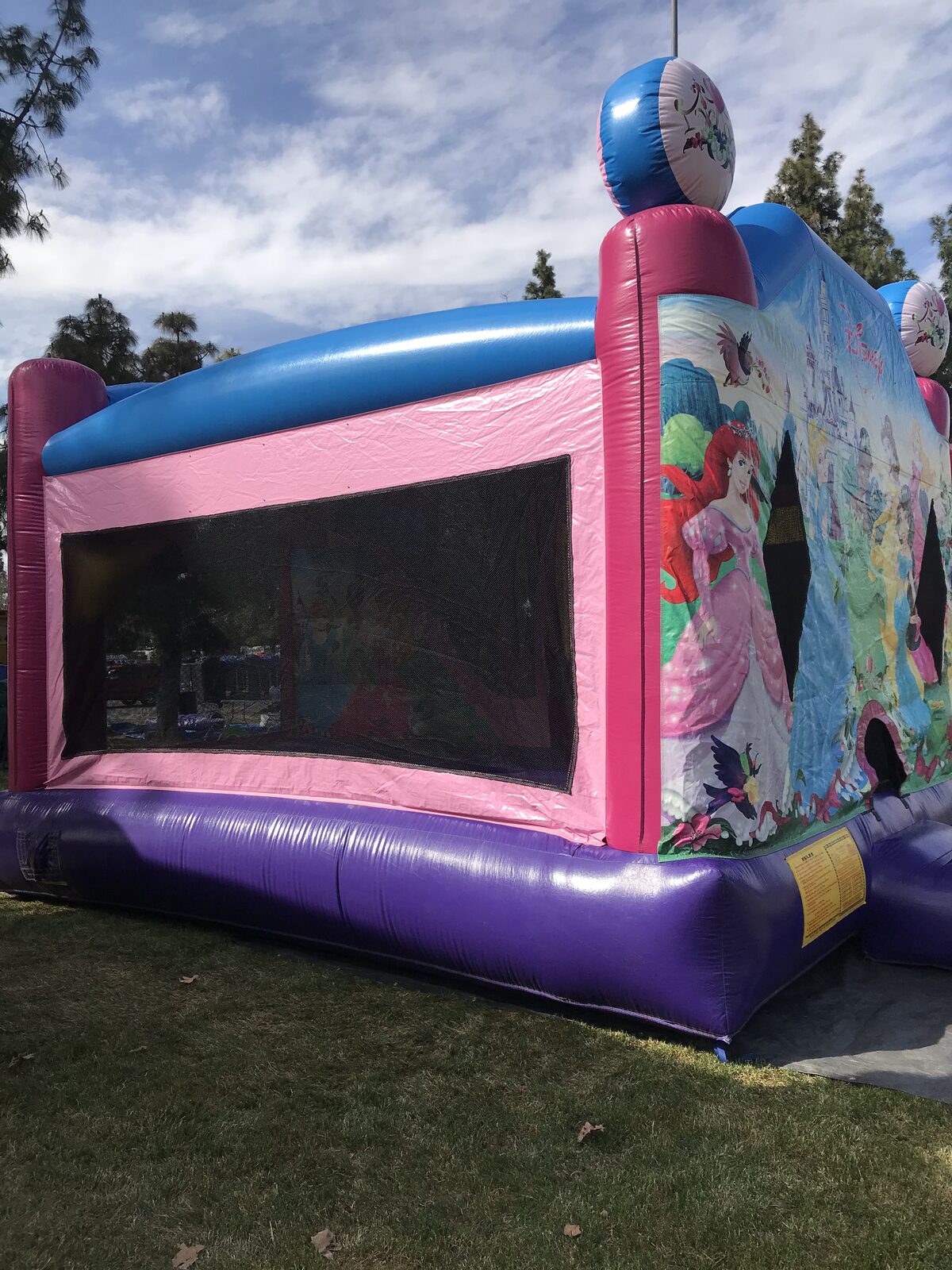 4n1 princess combo bounce house rental in San Diego, side profile of the large mesh viewing window and padded purple base on park grass