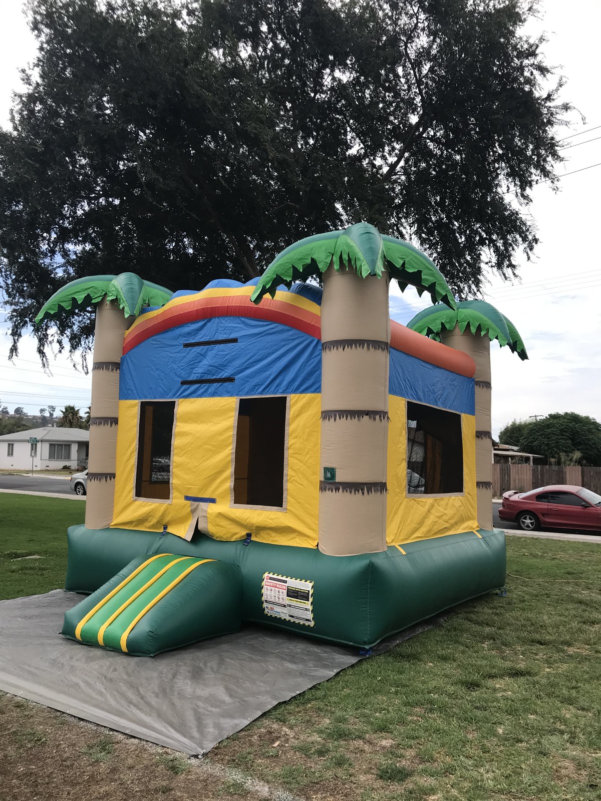 13x13 Palm Tree bounce house rental in San Diego — angled side view showing the inflatable palm trees, mesh windows, and entry ramp