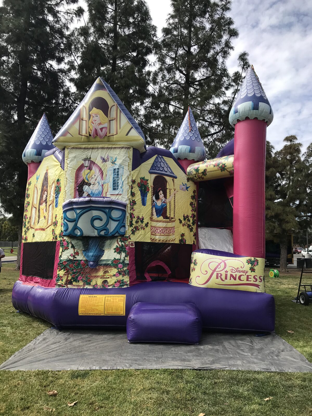 5n1 princess 3D combo bounce house rental in San Diego, front view of the pink and purple castle with 3D turret towers