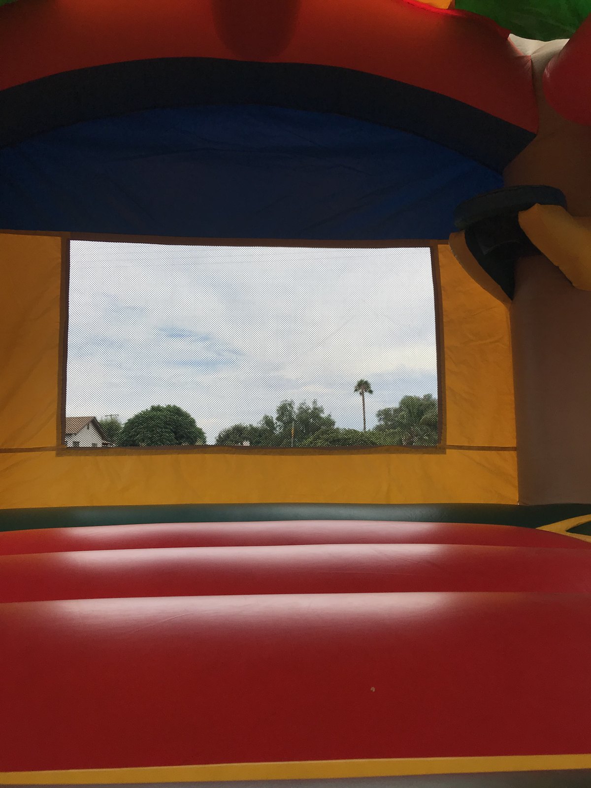 13x13 Palm Tree bounce house rental in San Diego — inside view of the red jumping floor and large mesh safety window