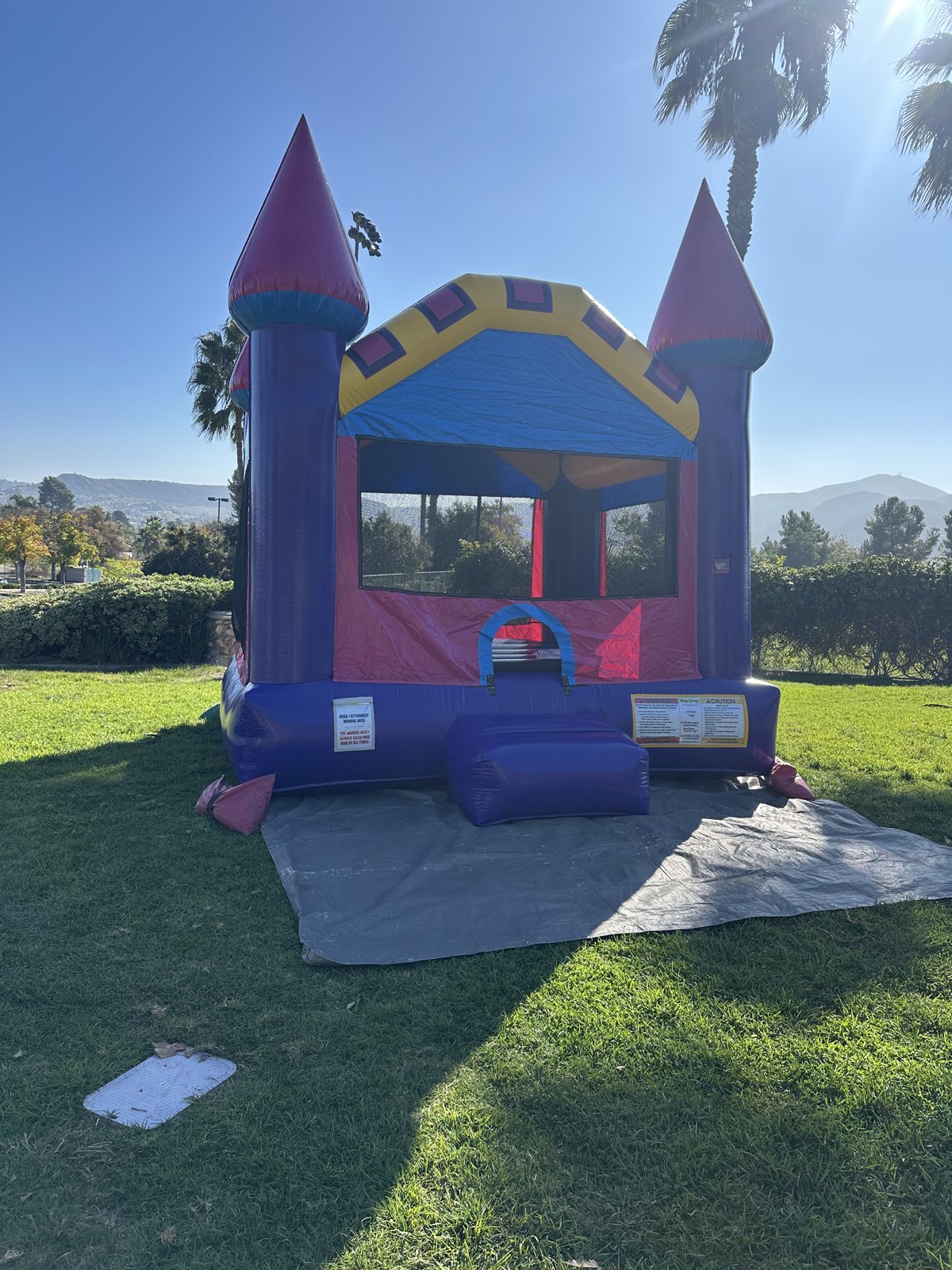 13x13 Dream Castle bounce house rental in San Diego — front view with pink turrets, purple columns, and yellow and blue roof trim set up on a park lawn