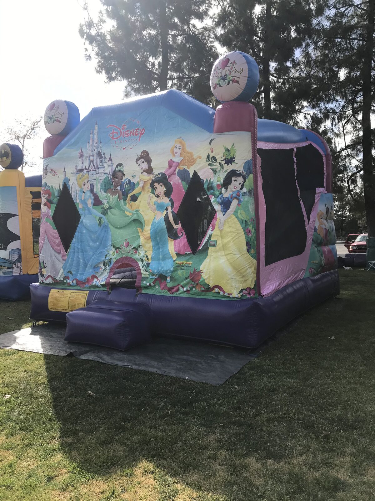4n1 princess combo bounce house rental in San Diego, three-quarter view showing the front art panel and the mesh side windows of the jump area
