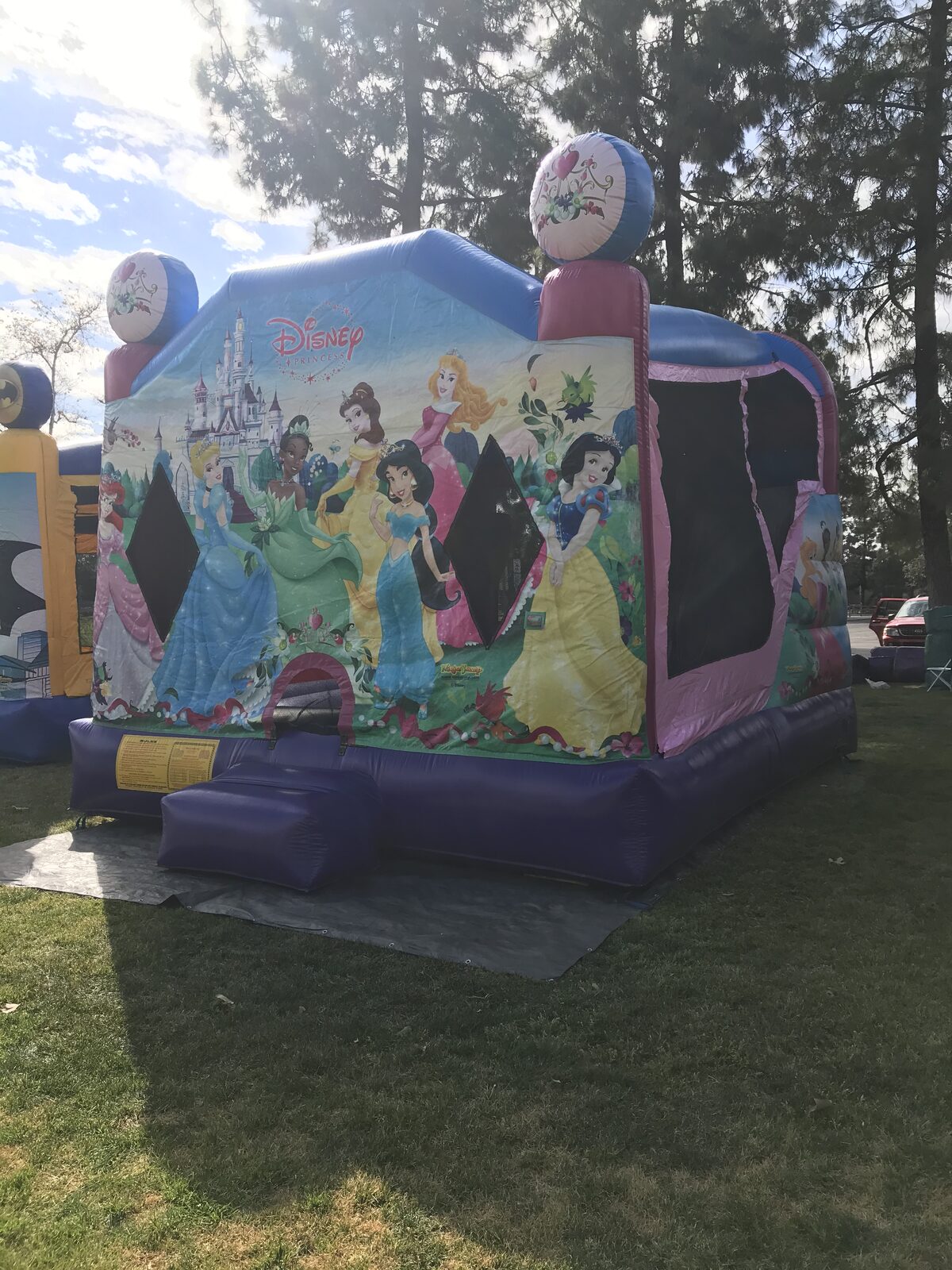 4n1 princess combo bounce house rental in San Diego, angled view showing the front princess panel plus the pink mesh side window of the jump area