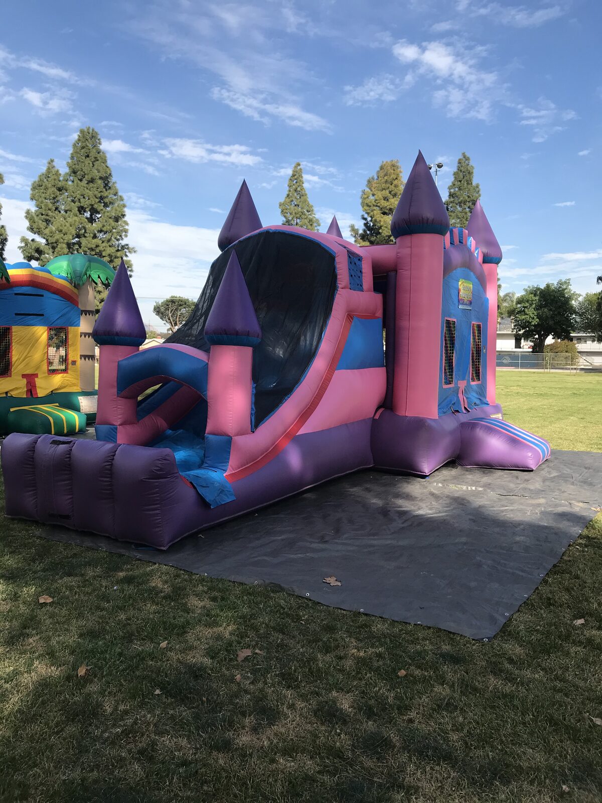 4n1 pink castle combo bounce house rental in San Diego, angled view down the side of the pink slide and blue jump area