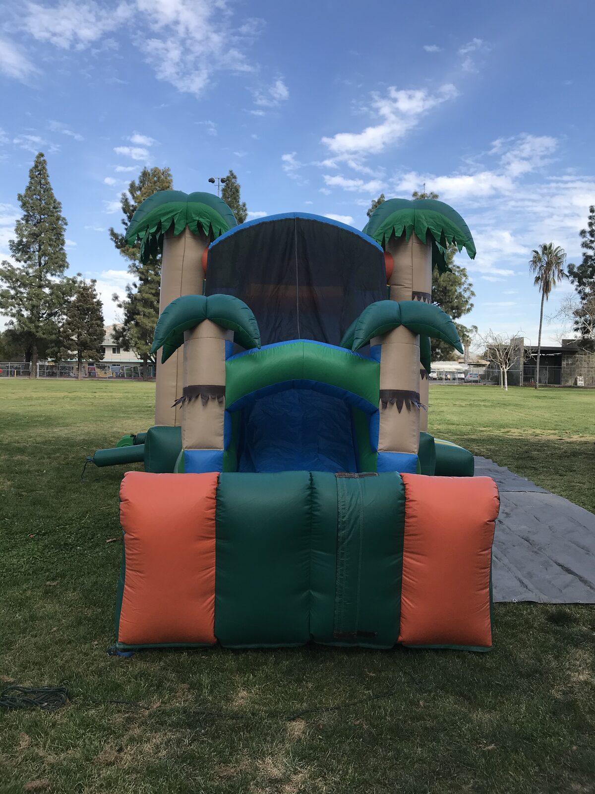 4n1 palm tree combo bounce house rental in San Diego, single slide version, angled view of the slide lane and entry step
