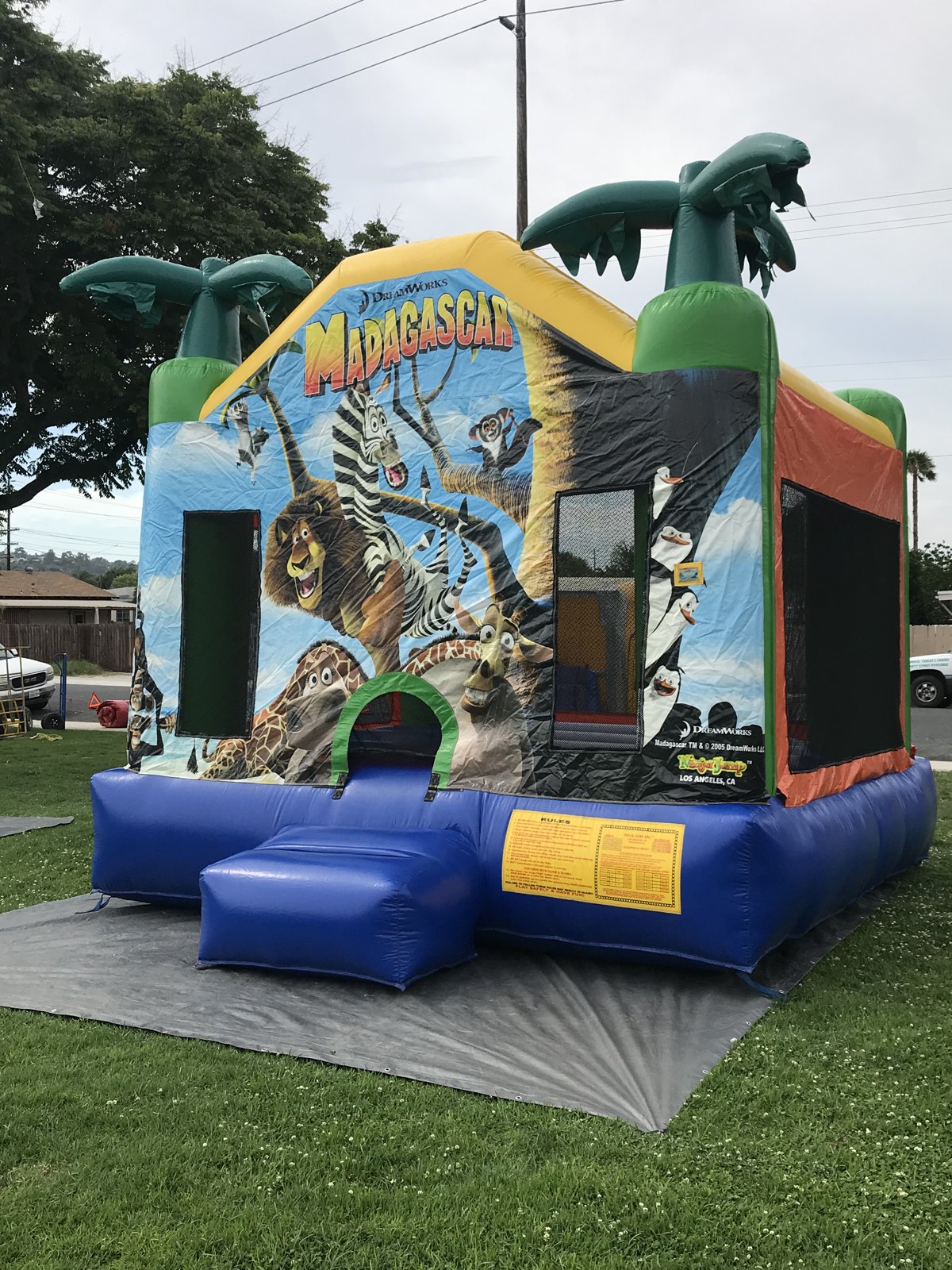 13x13 Madagascar bounce house rental in San Diego — side-angled view showing the jungle character panels and mesh safety windows