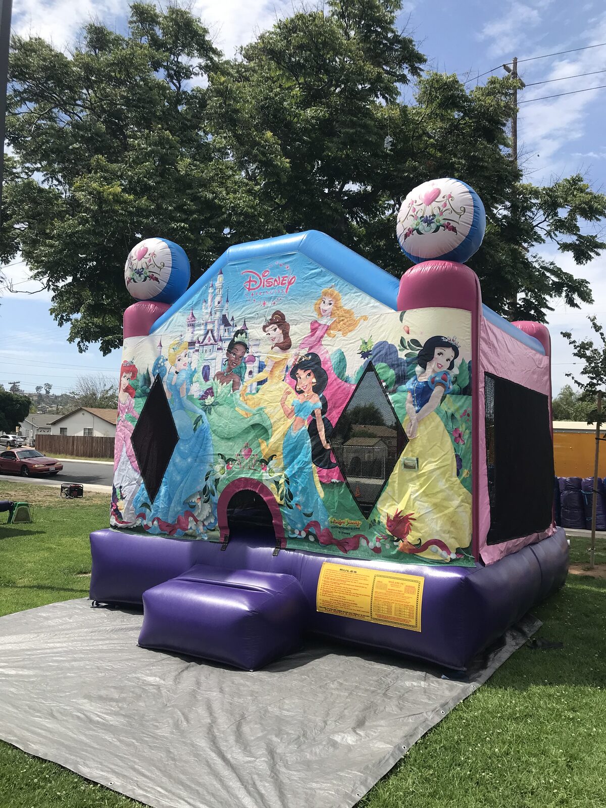 13x13 Disney Princess bounce house rental in San Diego — angled front view on a park lawn over a protective tarp with purple base and entry ramp