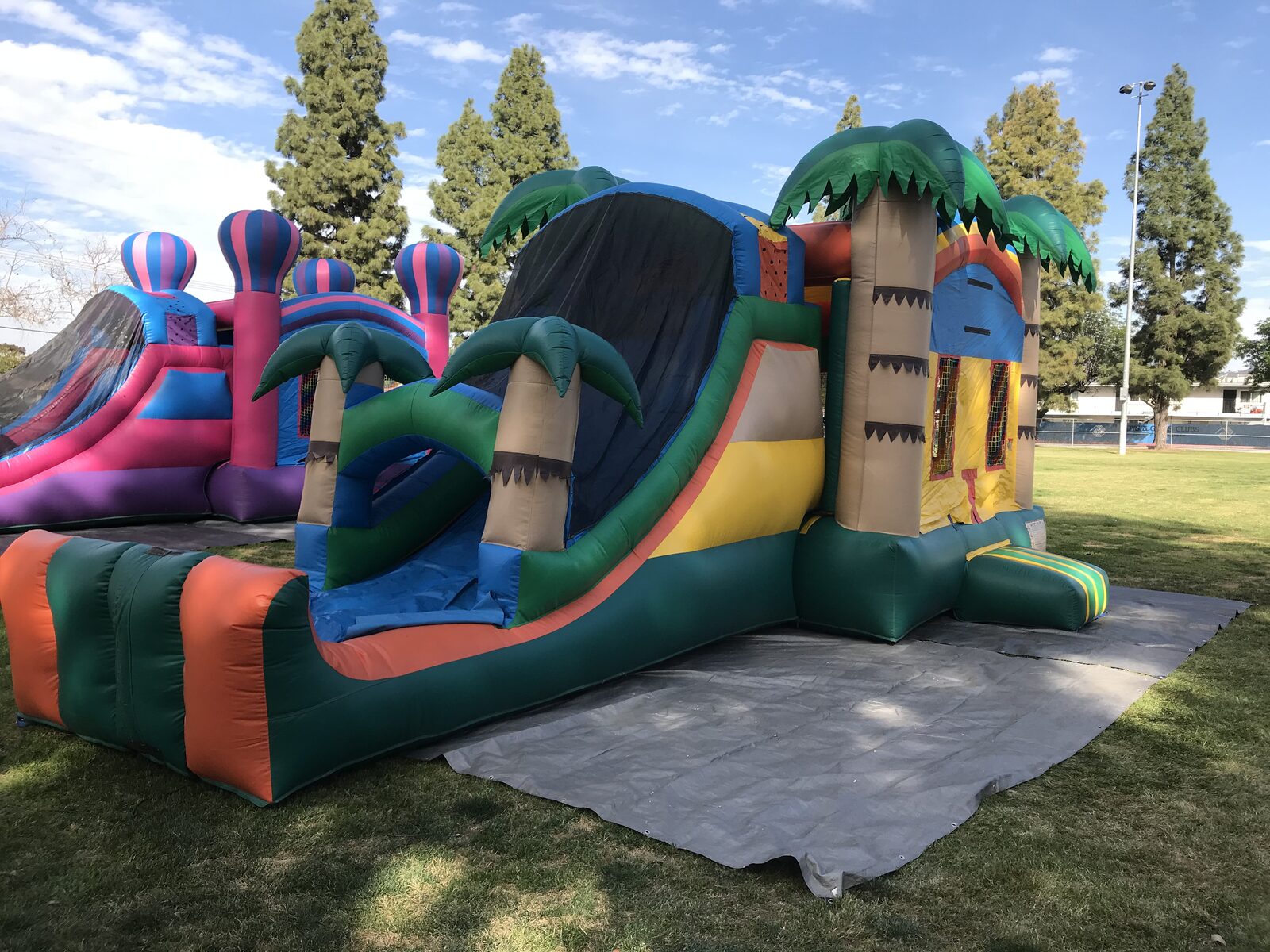 4n1 palm tree combo bounce house rental in San Diego, single slide version, interior view of the jump floor and climb-up to the slide