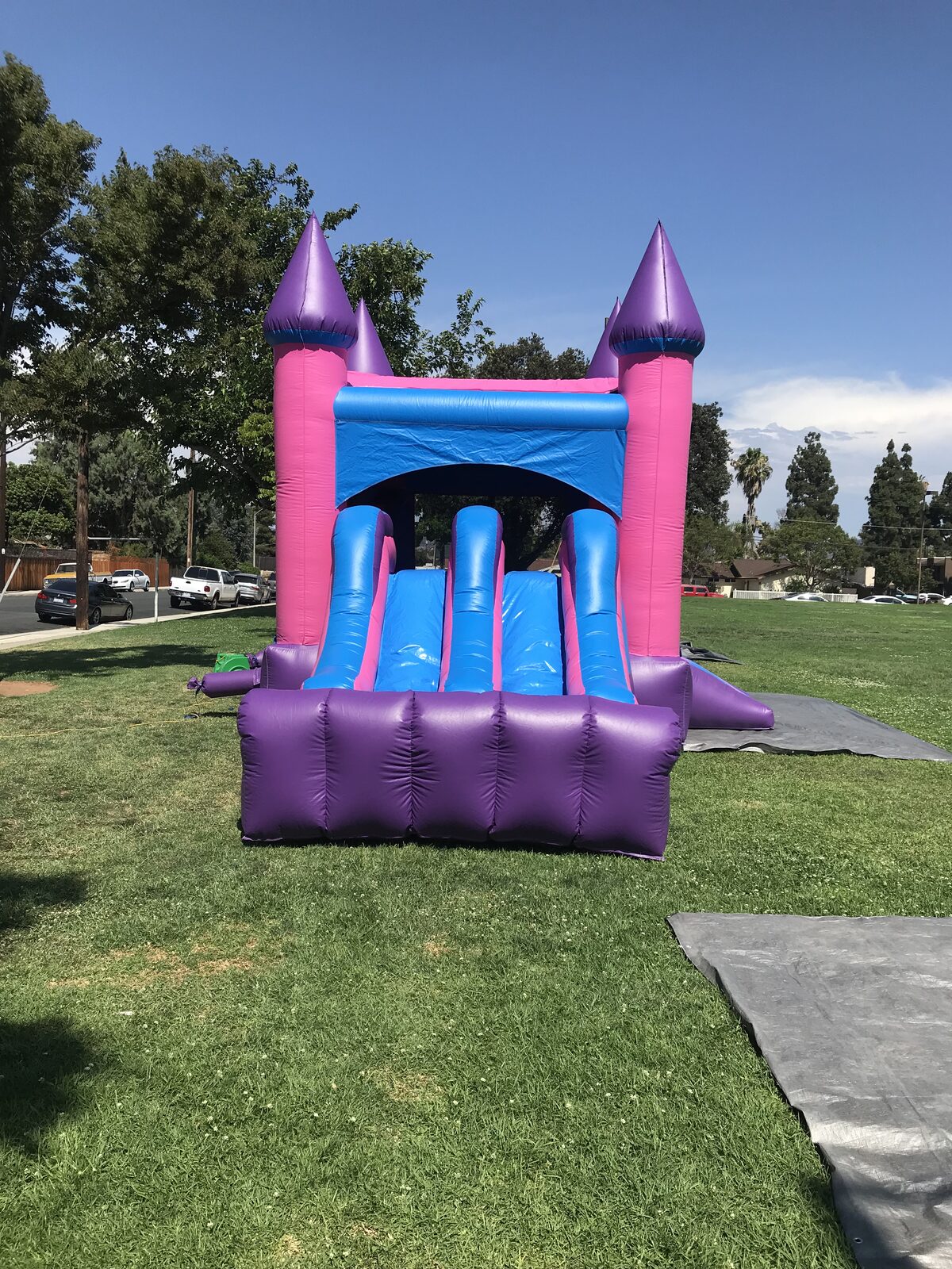 3n1 pink castle banner combo bounce house rental in San Diego, front view of the pink and purple castle with dual blue slide lanes on park grass