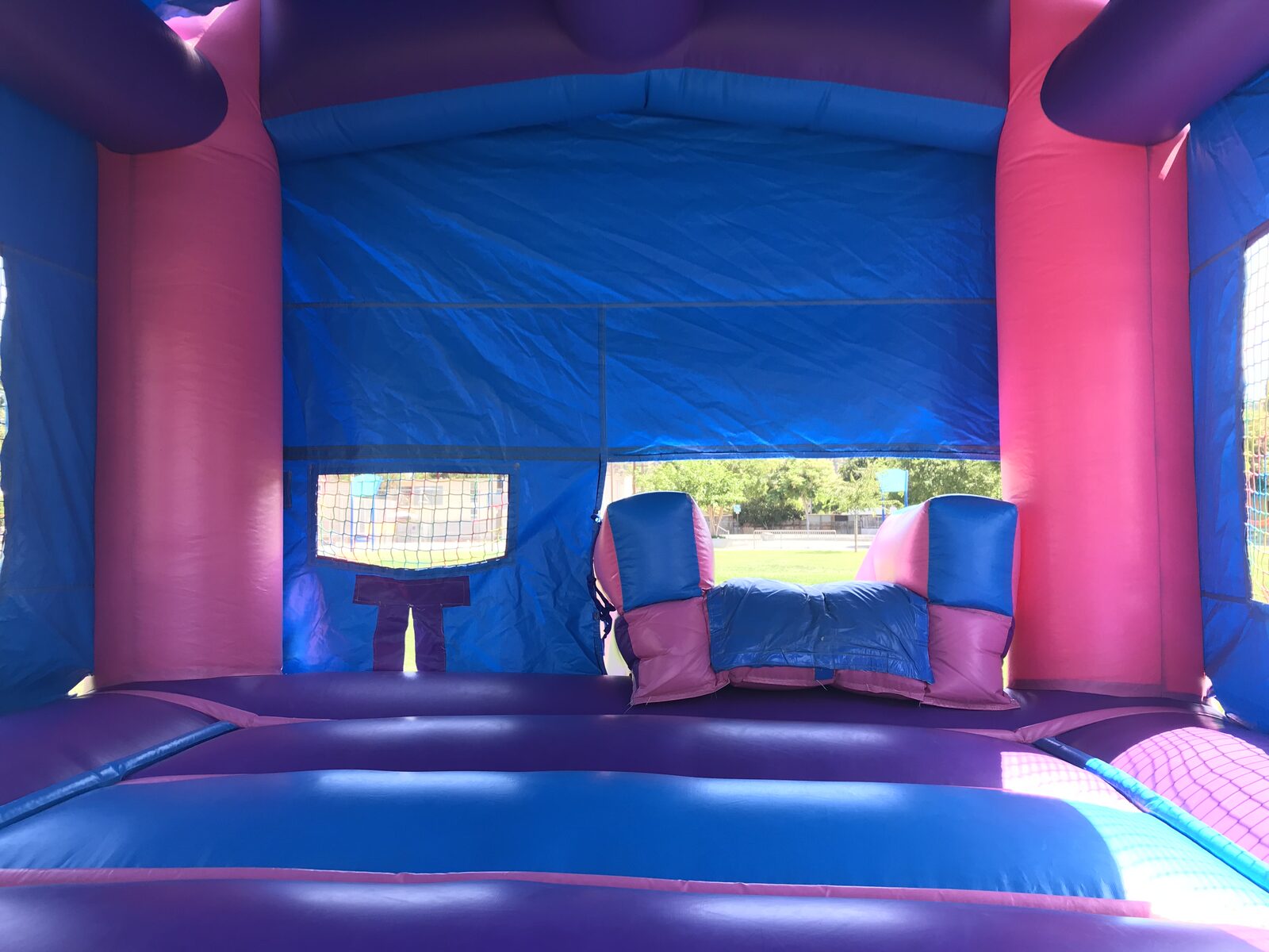 2n1 pink castle banner combo bounce house rental in San Diego, interior detail of the blue and pink walls with the park visible through the slide opening