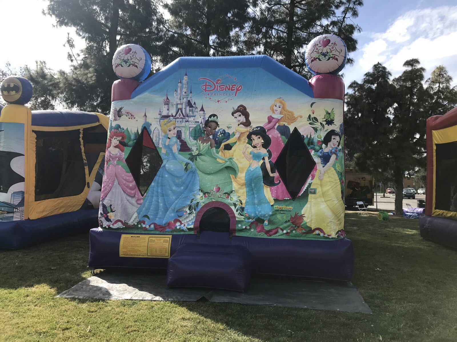 4n1 princess combo bounce house rental in San Diego, straight-on front view of the princess banner, safety rules placard and purple entry ramp on a tarp