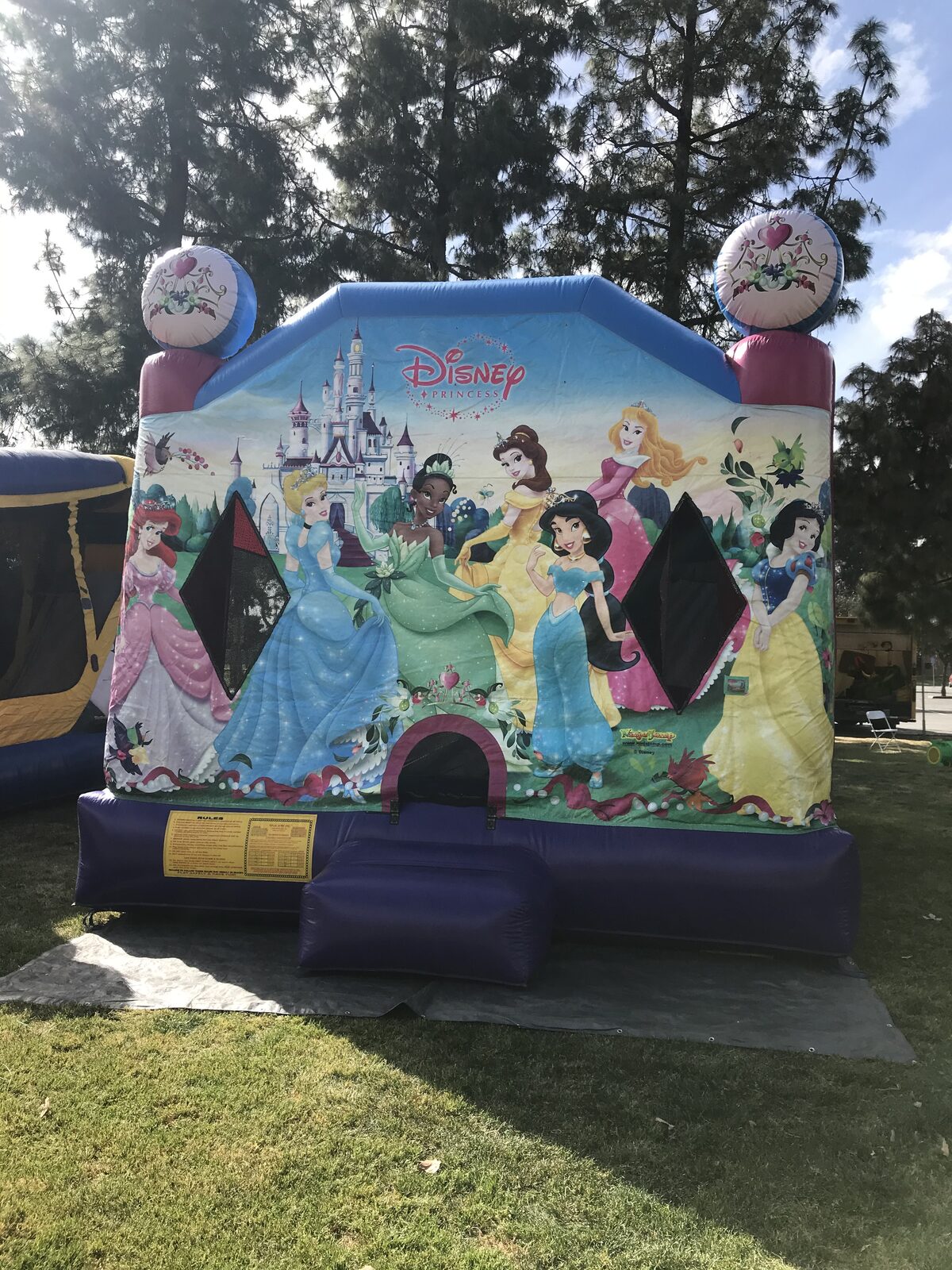 4n1 princess combo bounce house rental in San Diego, close front view of the castle graphics and entry step staked on a tarp at a park