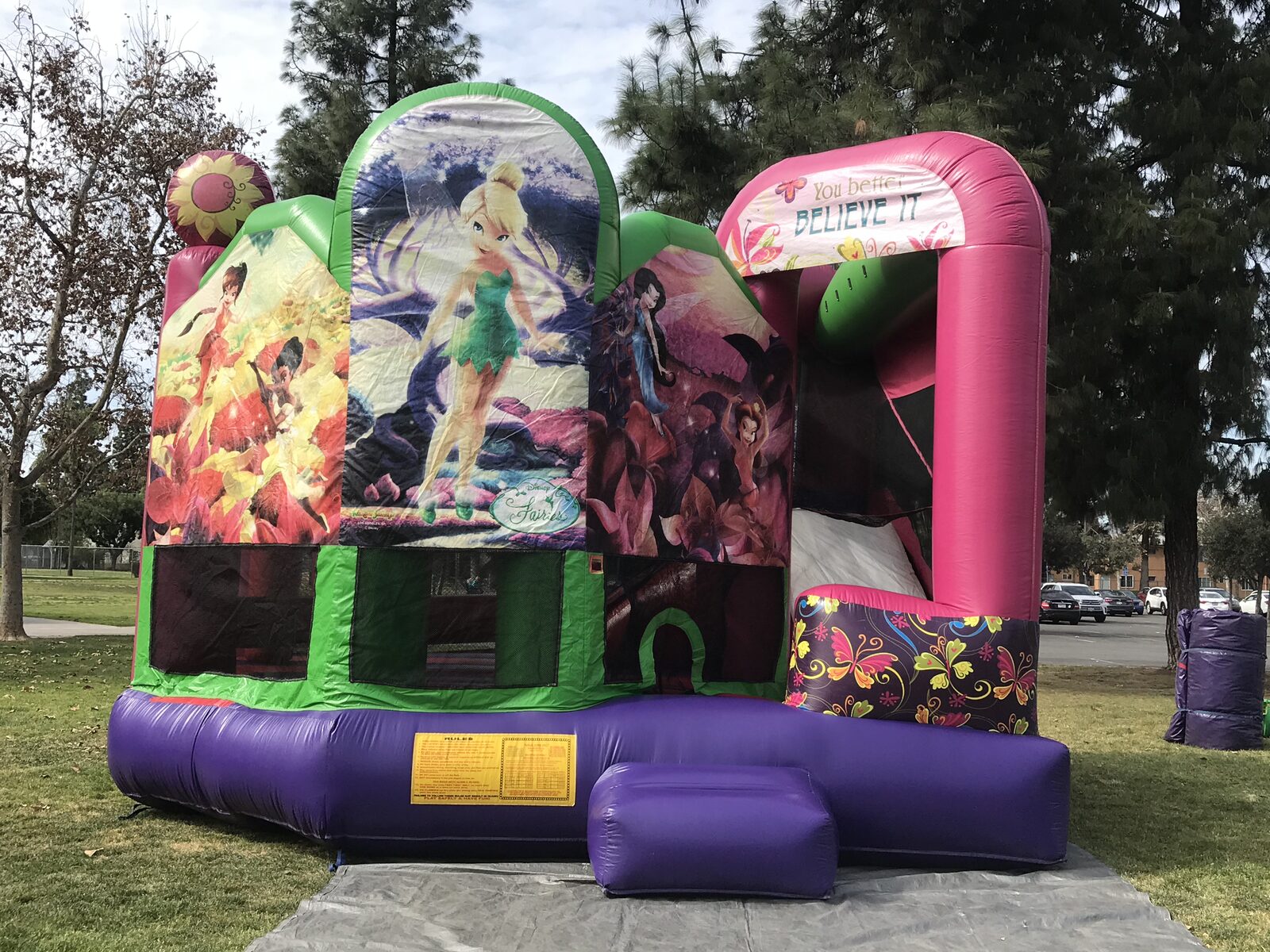 5n1 fairies combo bounce house rental in San Diego, straight-on front view of the purple entry step and Disney Fairies panels