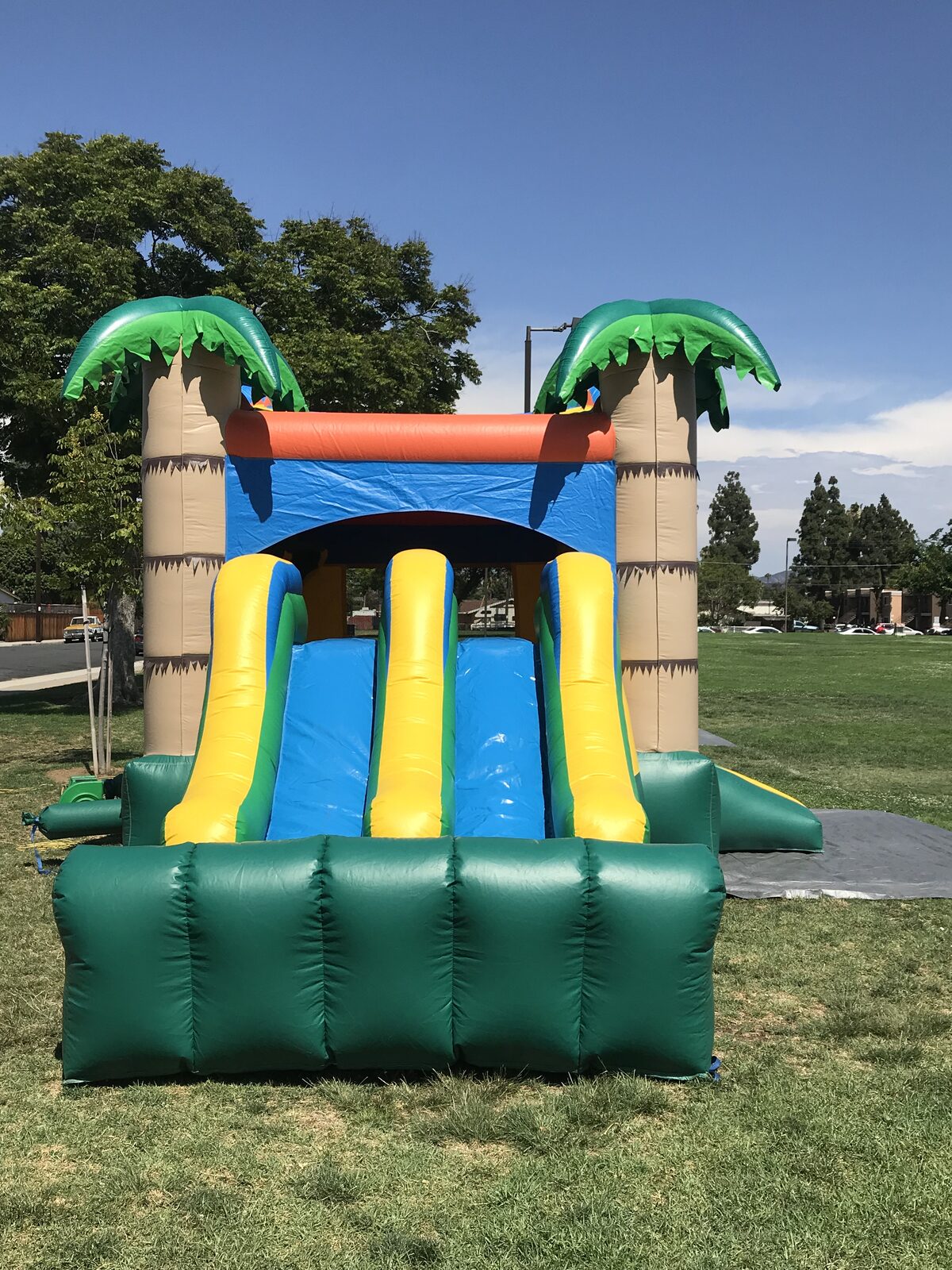 3n1 palm tree combo bounce house rental in San Diego, front view of the tropical unit with inflatable palm tree towers and dual yellow and blue slide lanes on park grass
