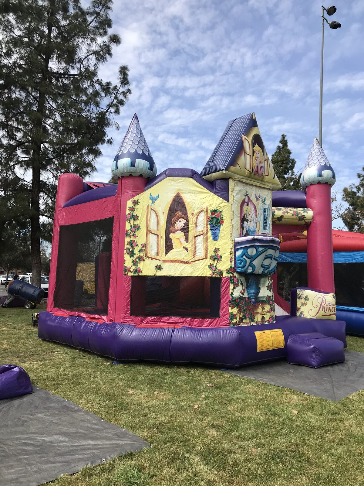 5n1 princess 3D combo bounce house rental in San Diego, side view of the slide lane and mesh jump-area windows