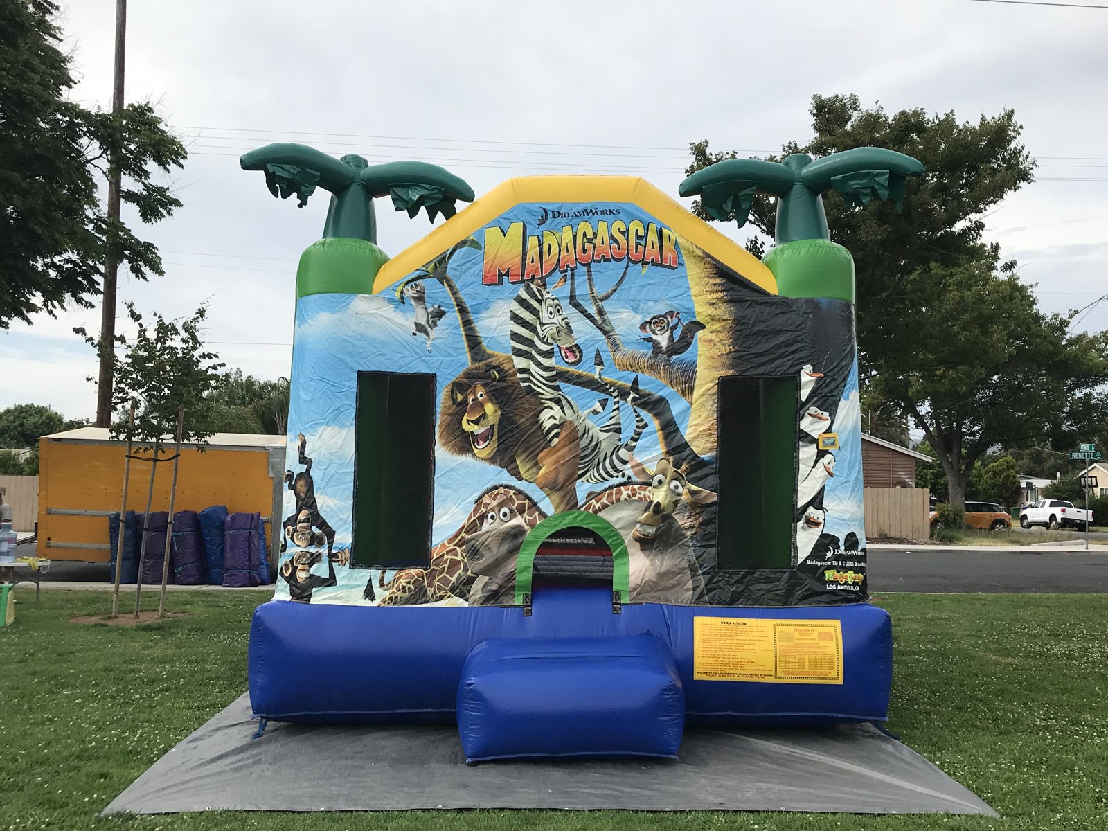 13x13 Madagascar bounce house rental in San Diego — straight-on front view with DreamWorks Madagascar artwork and inflatable palm trees